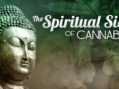 Cannabis and Spirituality – with Stephen Gray