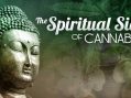 Saturday April 25, 2020: Cannabis as a Spiritual Ally in the Time of Covid-19: A Guided Online Cannabis-Friendly Ceremony with Stephen Gray