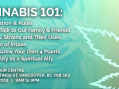 Cannabis 101: Essential Information for the New Canadian Reality