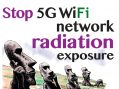 5G WiFi: Technical Dream or Prophetic Nightmare- With Dr. Martin Pall