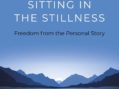 Sitting In the Stillness: Freedom from the Personal Story – with Martin Wells