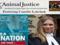 Animal Justice with Camille Labchuk