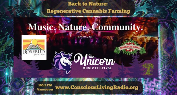 Rosebud Farms and the Unicorn Music Festival